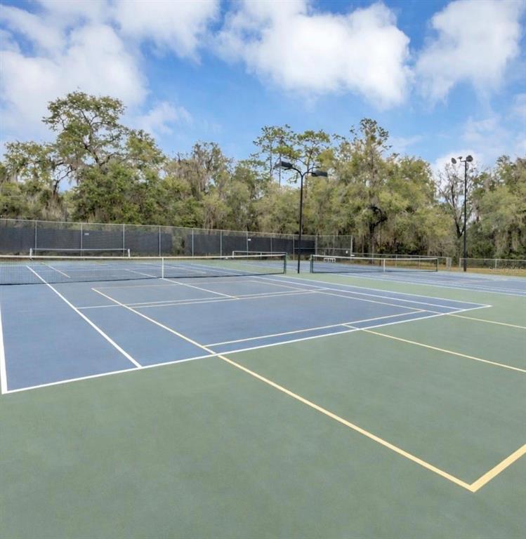 9092 Southwest 192nd Court Road Dunnellon, FL 34432 - Photo 49 of 50