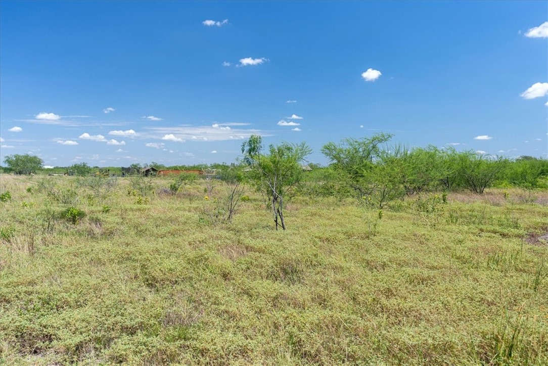 253 County Road 222 Orange Grove, TX 78372 - Photo 11 of 22