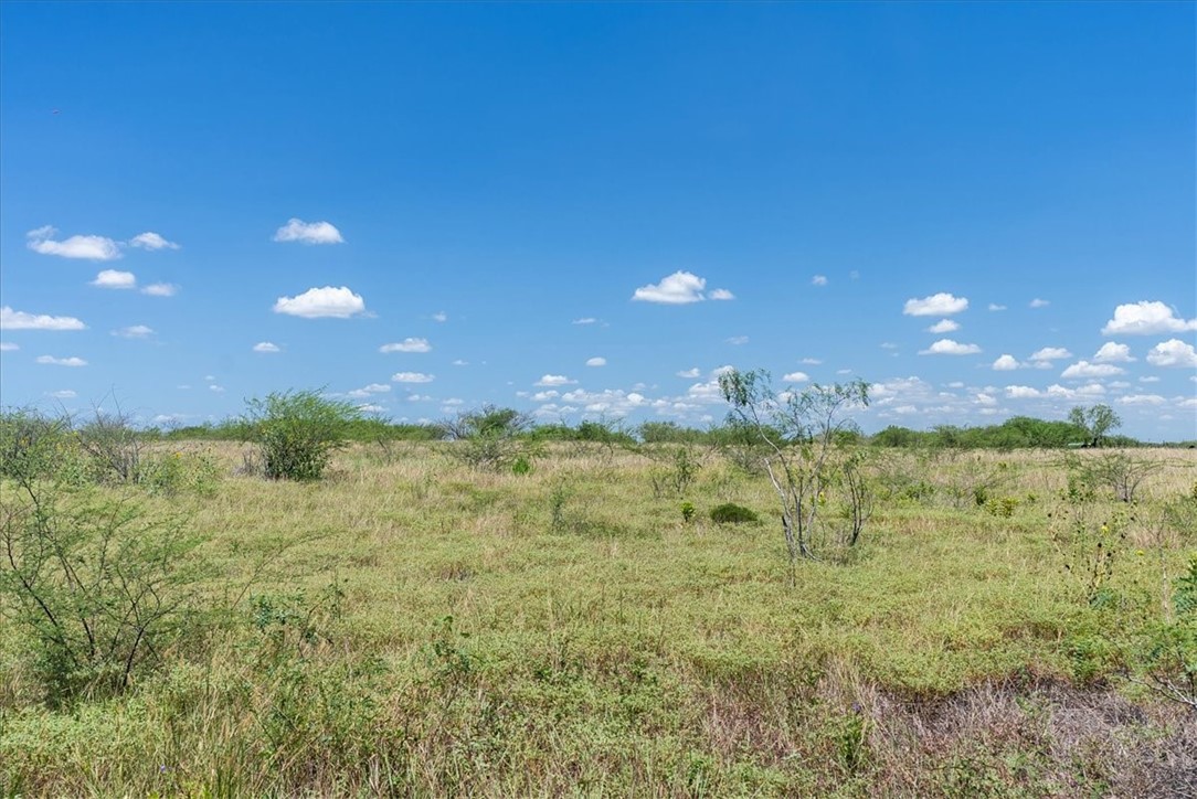 253 County Road 222 Orange Grove, TX 78372 - Photo 3 of 22 a view of a lake in a yard