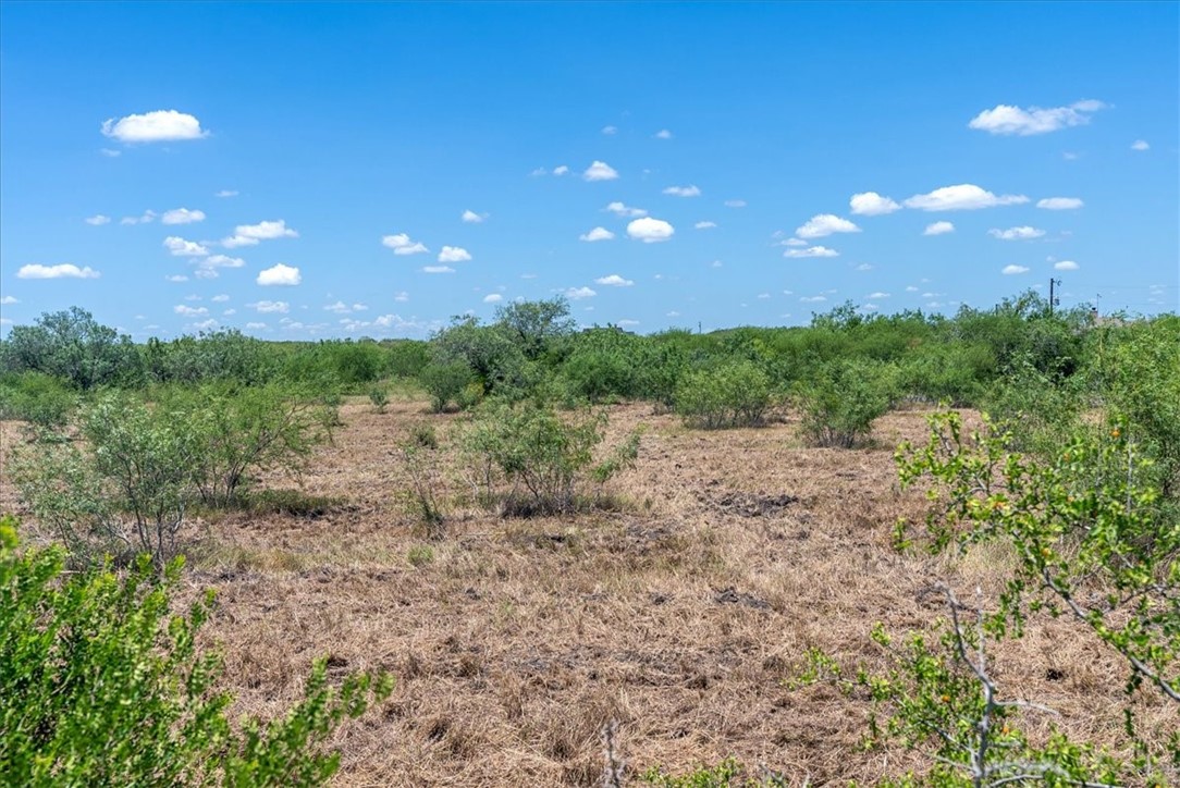 253 County Road 222 Orange Grove, TX 78372 - Photo 4 of 22 a view of a yard with plants and a yard