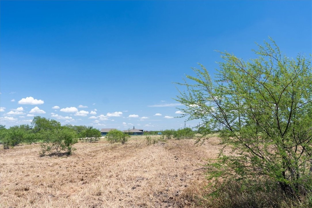 253 County Road 222 Orange Grove, TX 78372 - Photo 6 of 22 a sunset view
