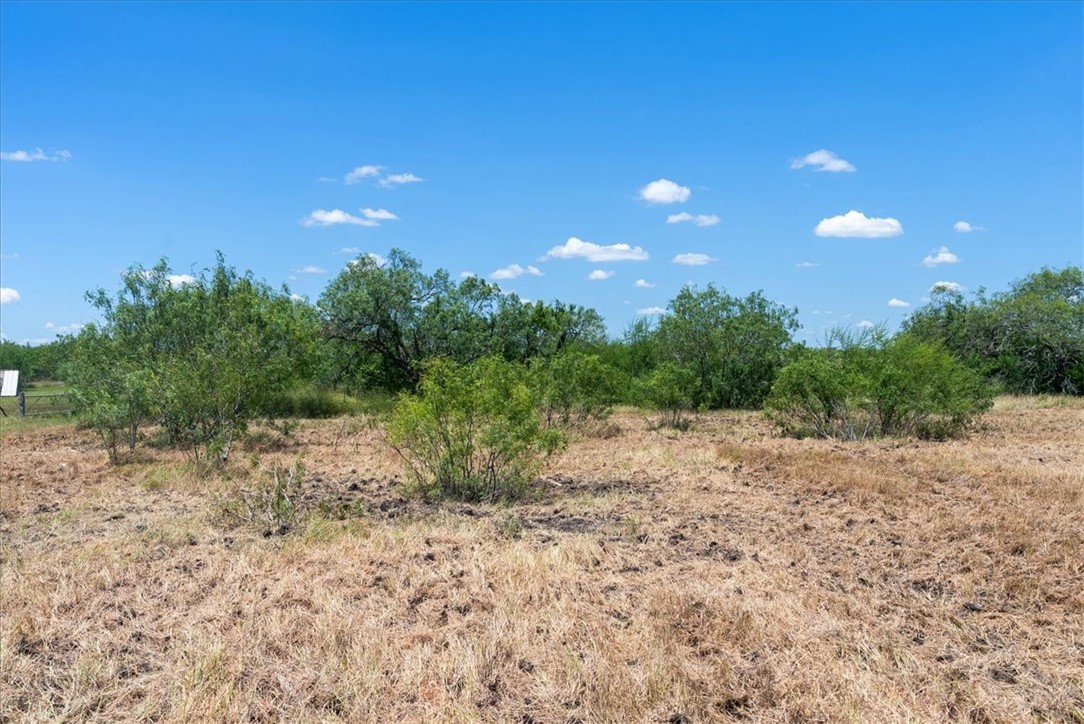 253 County Road 222 Orange Grove, TX 78372 - Photo 7 of 22 a view of a large yard with lots of green space