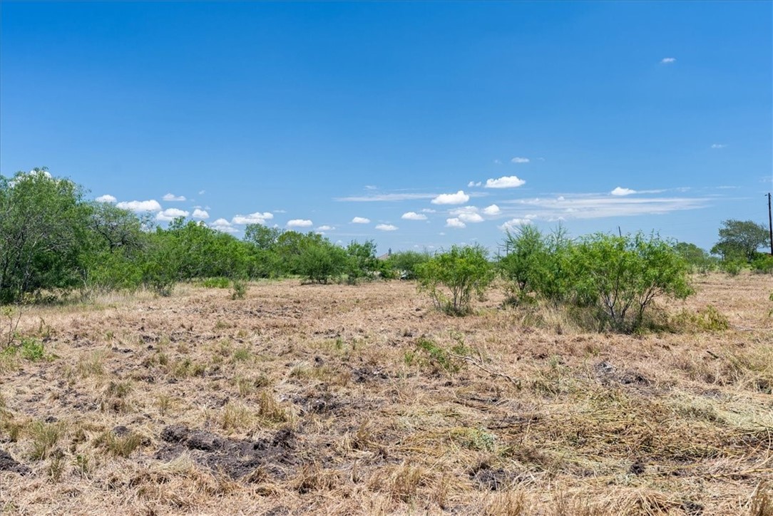 253 County Road 222 Orange Grove, TX 78372 - Photo 8 of 22 a view of lake and mountain