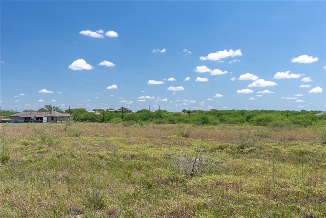 253 County Road 222 Orange Grove, TX 78372 - Photo 9 of 22 a view of lake and mountain