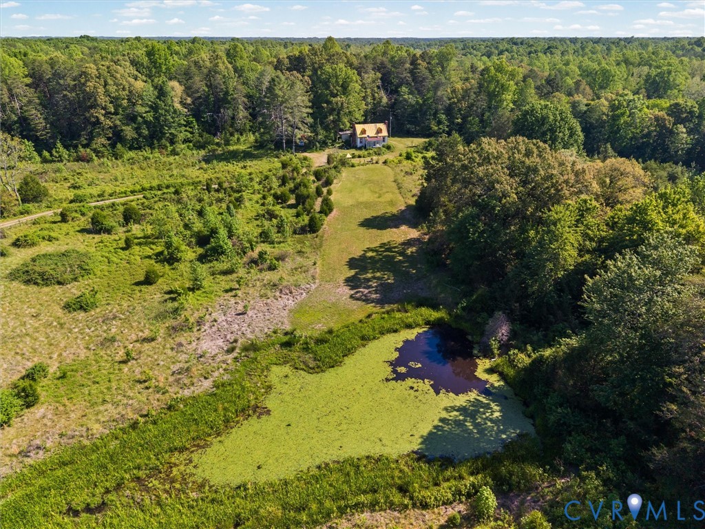 265 Signboard Road Bumpass, VA 23024 - Photo 8 of 39 Expansive wooded acreage featuring a distant resid