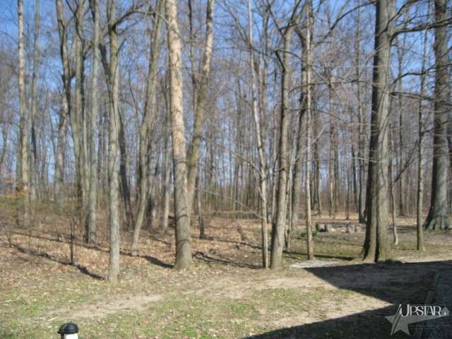 8205 Maples Road Fort Wayne, IN 46816 - Photo 13 of 16