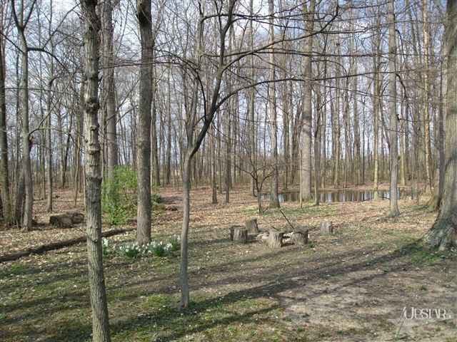 8205 Maples Road Fort Wayne, IN 46816 - Photo 4 of 16