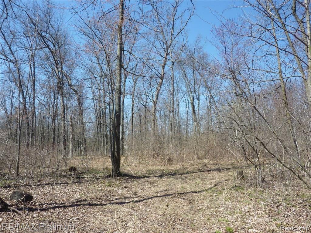 Vl Musson Howell, MI 48855 - Photo 6 of 8