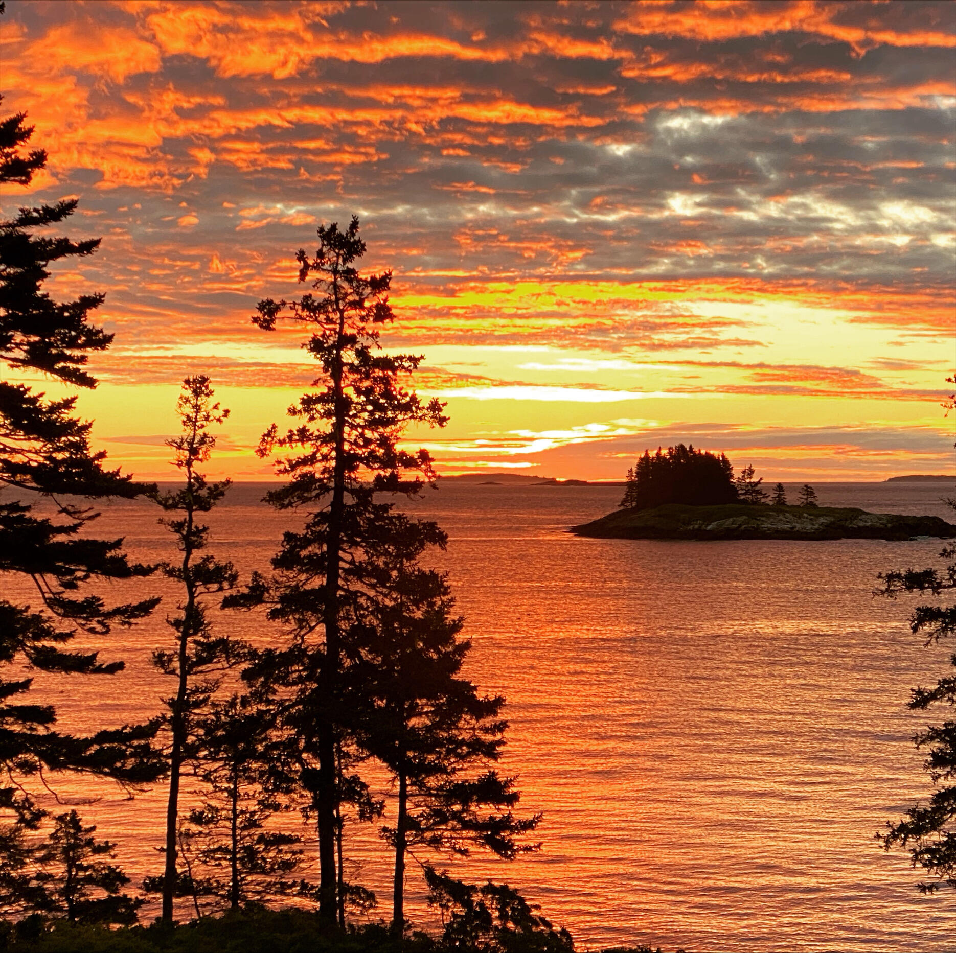 162 Red Point Road Swans Island, ME 04685 - Photo 49 of 50 sunset