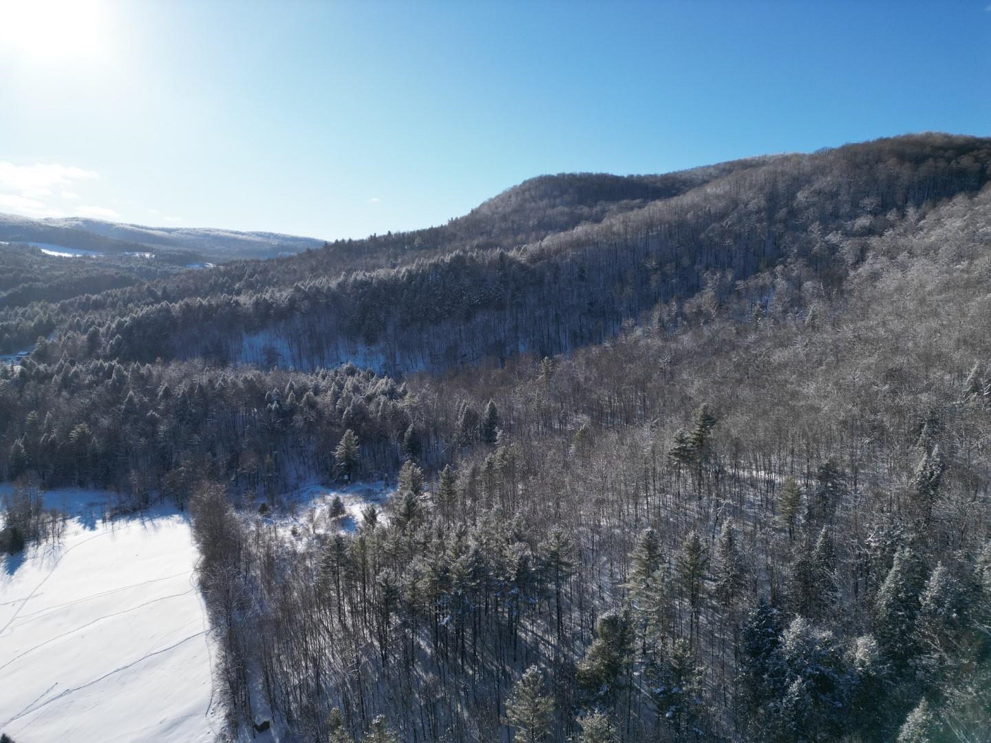 342 Sunrise Drive Huntington, VT 05462 - Photo 32 of 44