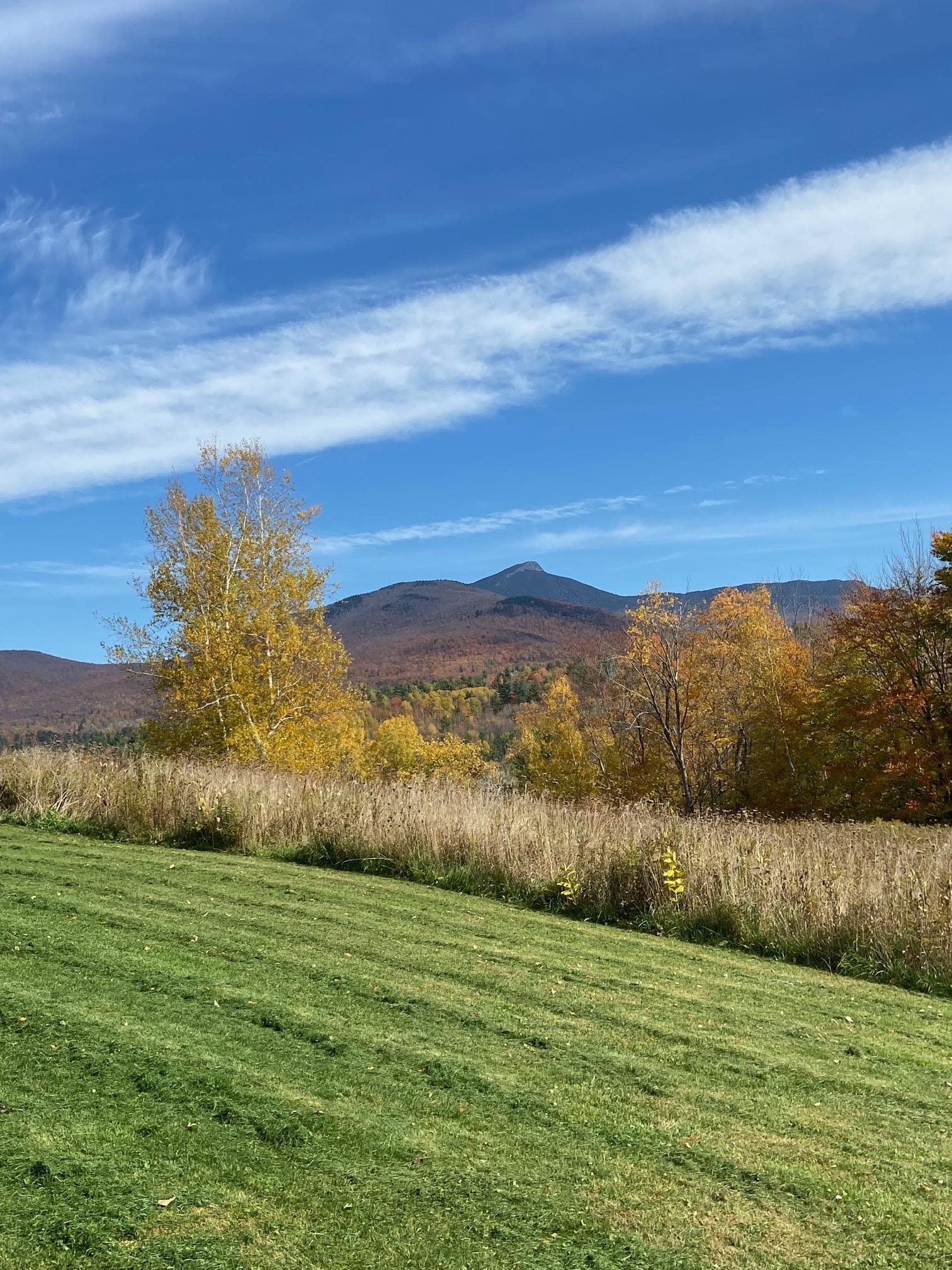 342 Sunrise Drive Huntington, VT 05462 - Photo 37 of 44