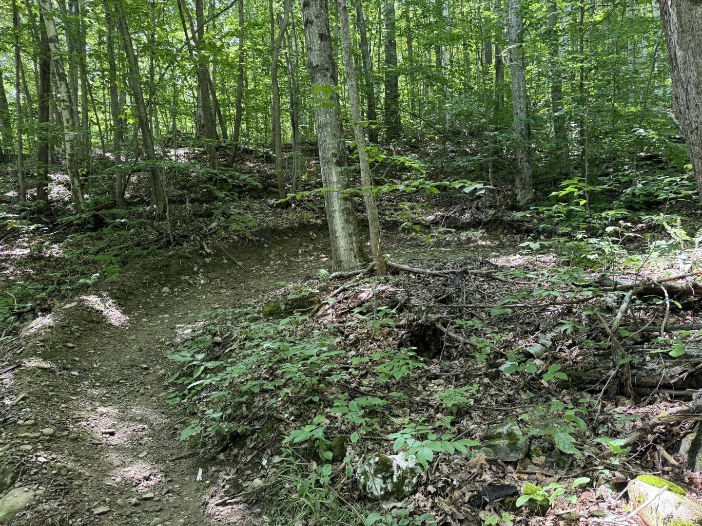 342 Sunrise Drive Huntington, VT 05462 - Photo 43 of 44