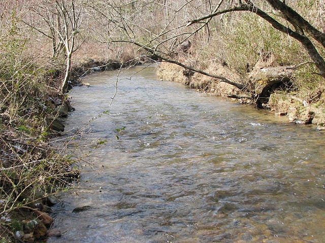 0 Boardtown Road Cherry Log, GA 30522 - Photo 1 of 1 Boardtown Creek along the property