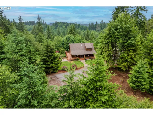 a view of a garden with an outdoor space