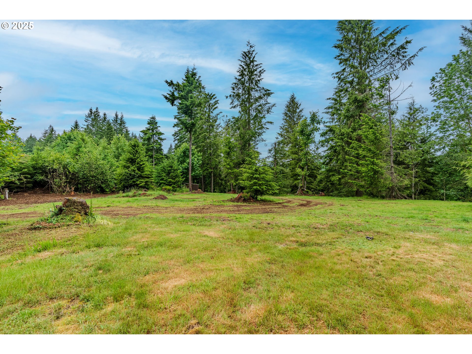 43144 Southeast Deverell Road Corbett, OR 97019 - Photo 45 of 48 a view of a yard with an outdoor space