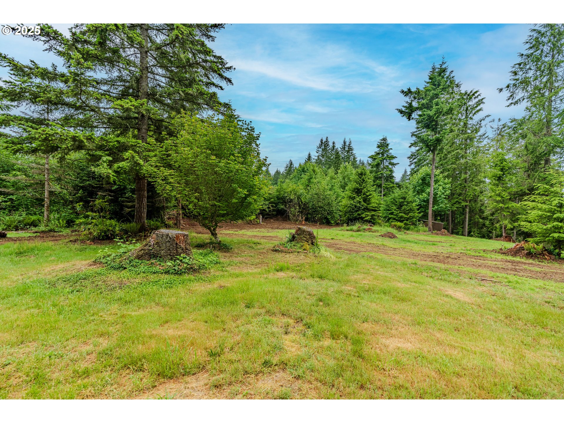 43144 Southeast Deverell Road Corbett, OR 97019 - Photo 46 of 48 a backyard of a house with lots of green space