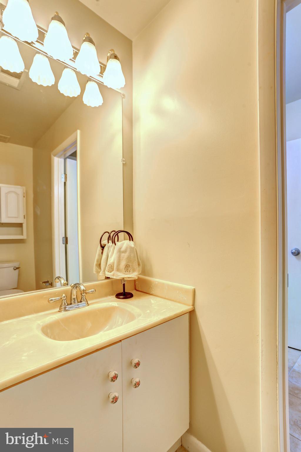 8018 Valley Manor Road, Unit 1A Owings Mills, MD 21117 - Photo 9 of 24 a bathroom with a sink and a mirror