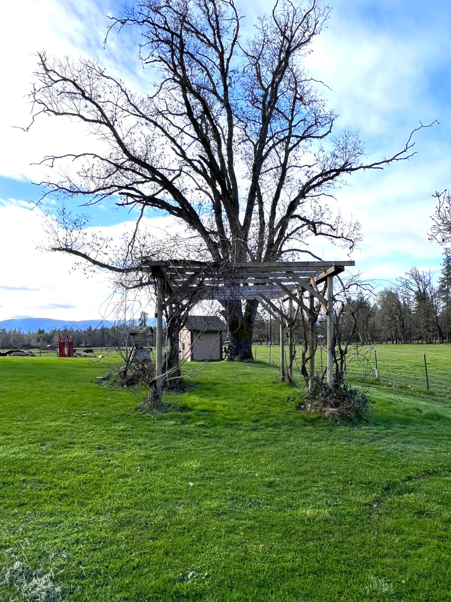 620 Dick George Road Cave Junction, OR 97523 - Photo 76 of 123 95