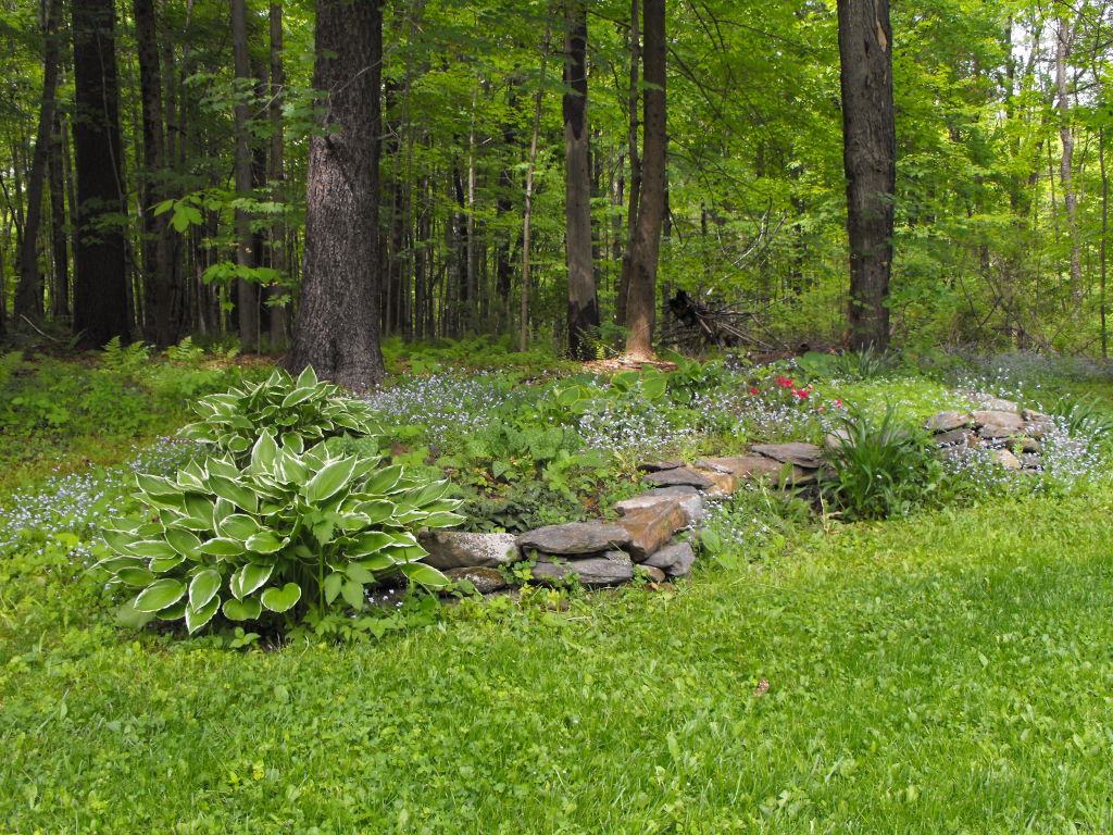 1 West Dale Road Stockbridge, MA 01229 - Photo 5 of 20 a backyard of a house with lots of green space