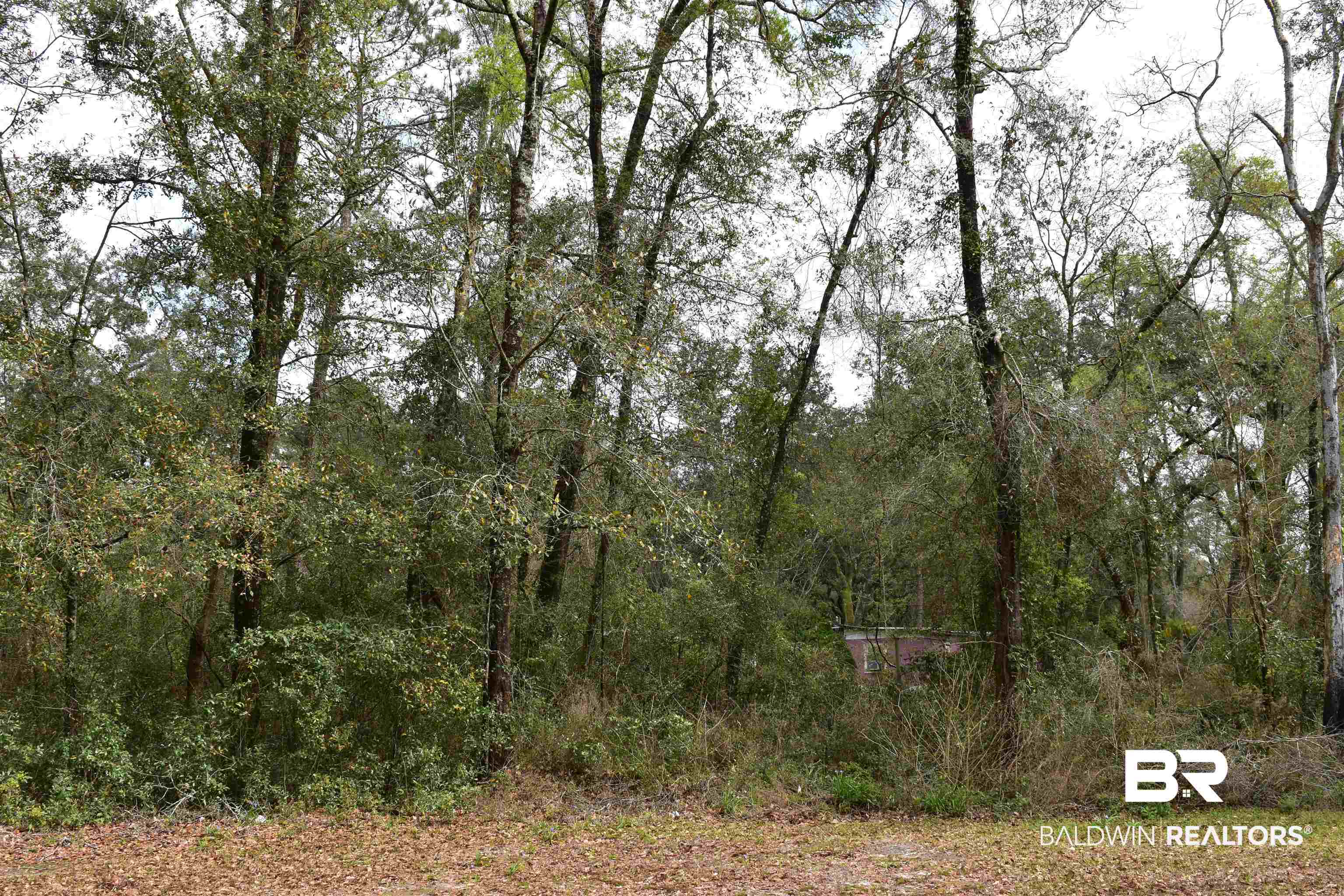 0 Antioch Road Fairhope, AL 36532 - Photo 2 of 21