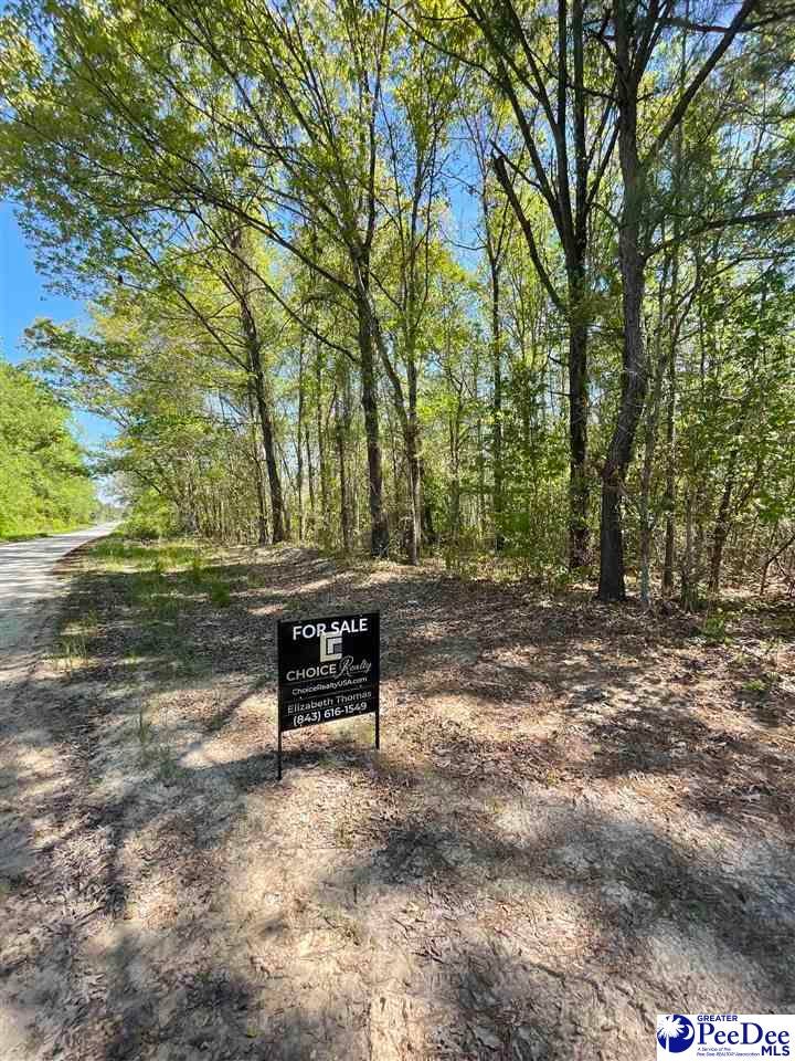 Tbd Wilks Pond Road Patrick, SC 29584 - Photo 1 of 4 Gallery Image 1