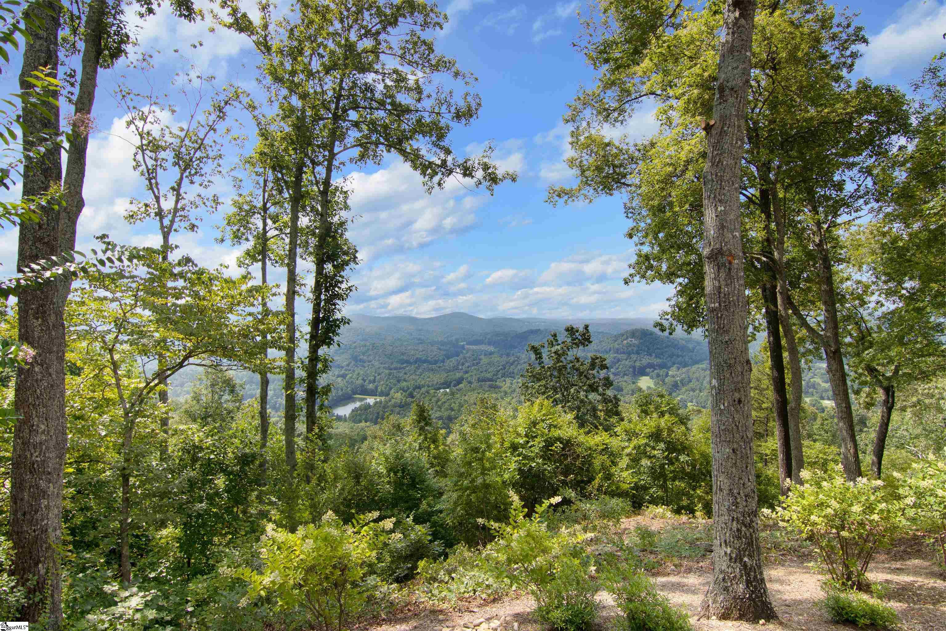 9 R-Pd-173 Travelers Rest, SC 29690 - Photo 2 of 36 Gallery Image 2