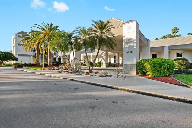 a view of road with palm trees