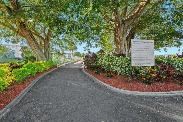 a view of a garden with large trees
