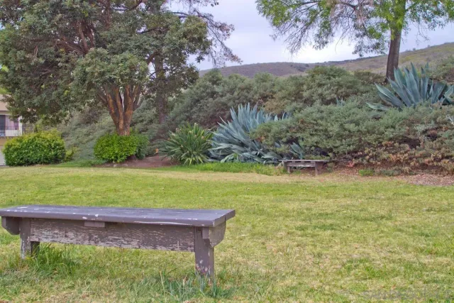 a view of yard with green space