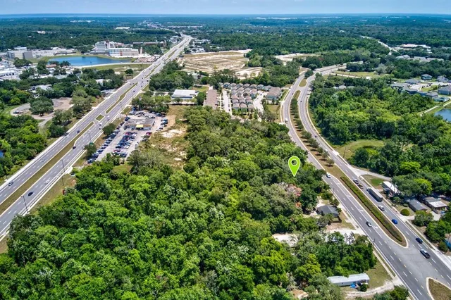 a view of backyard with potted plants and a large tree