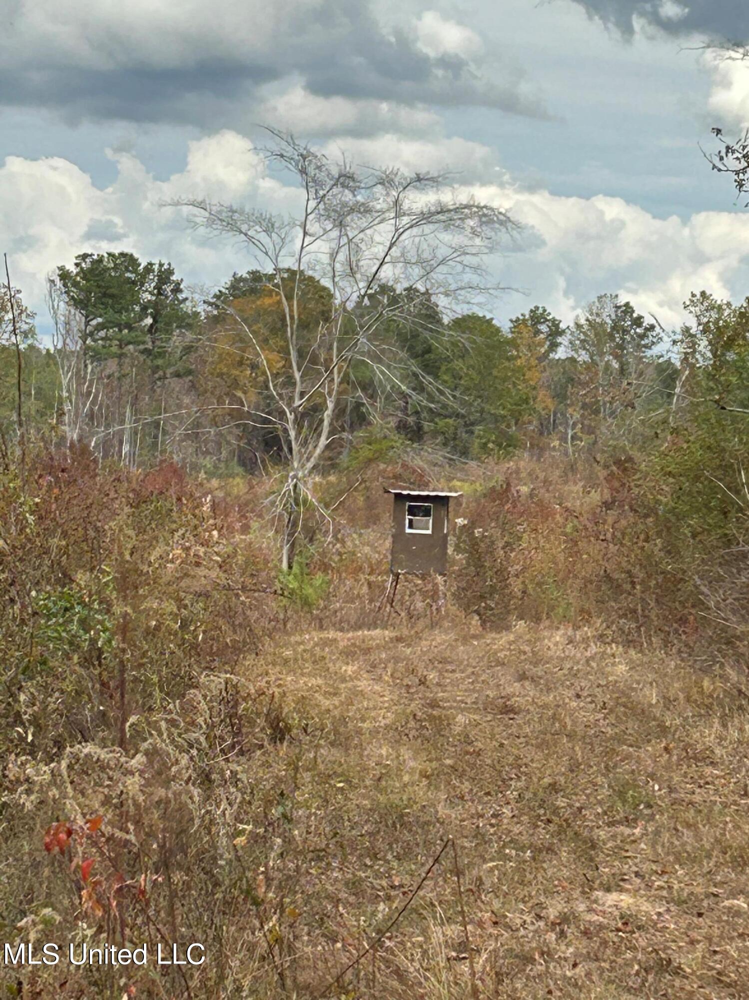 454 Burnham Road Forest, MS 39074 - Photo 6 of 14 380+- Scott County 5