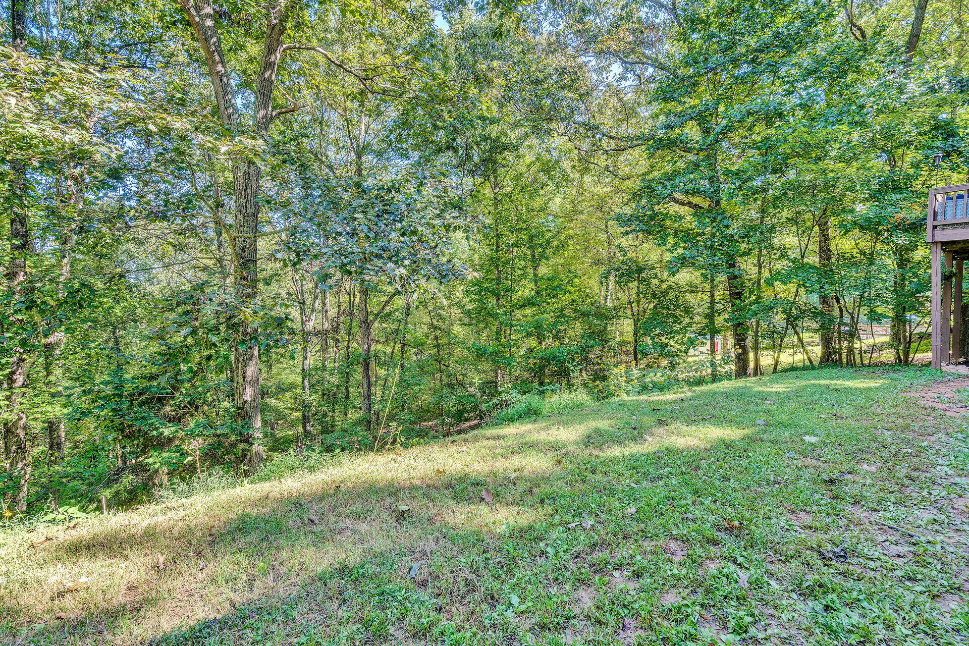 1842 Morris Road Goodview, VA 24095 - Photo 31 of 35 a view of a yard with a trees