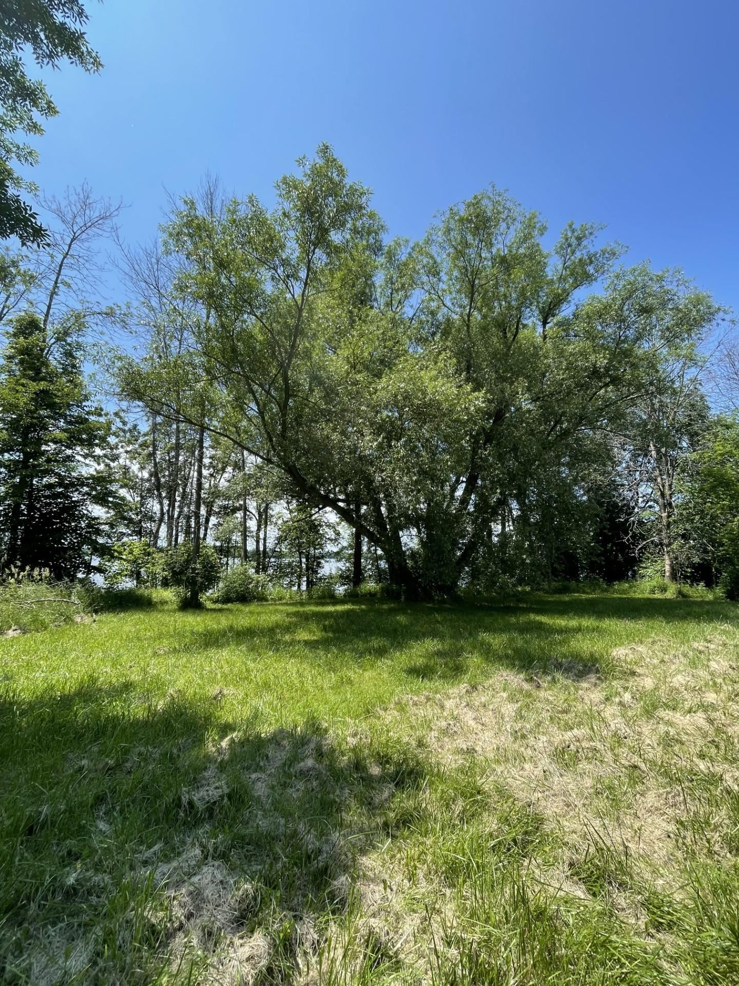 557 Bay Road Alburgh, VT 05440 - Photo 3 of 7