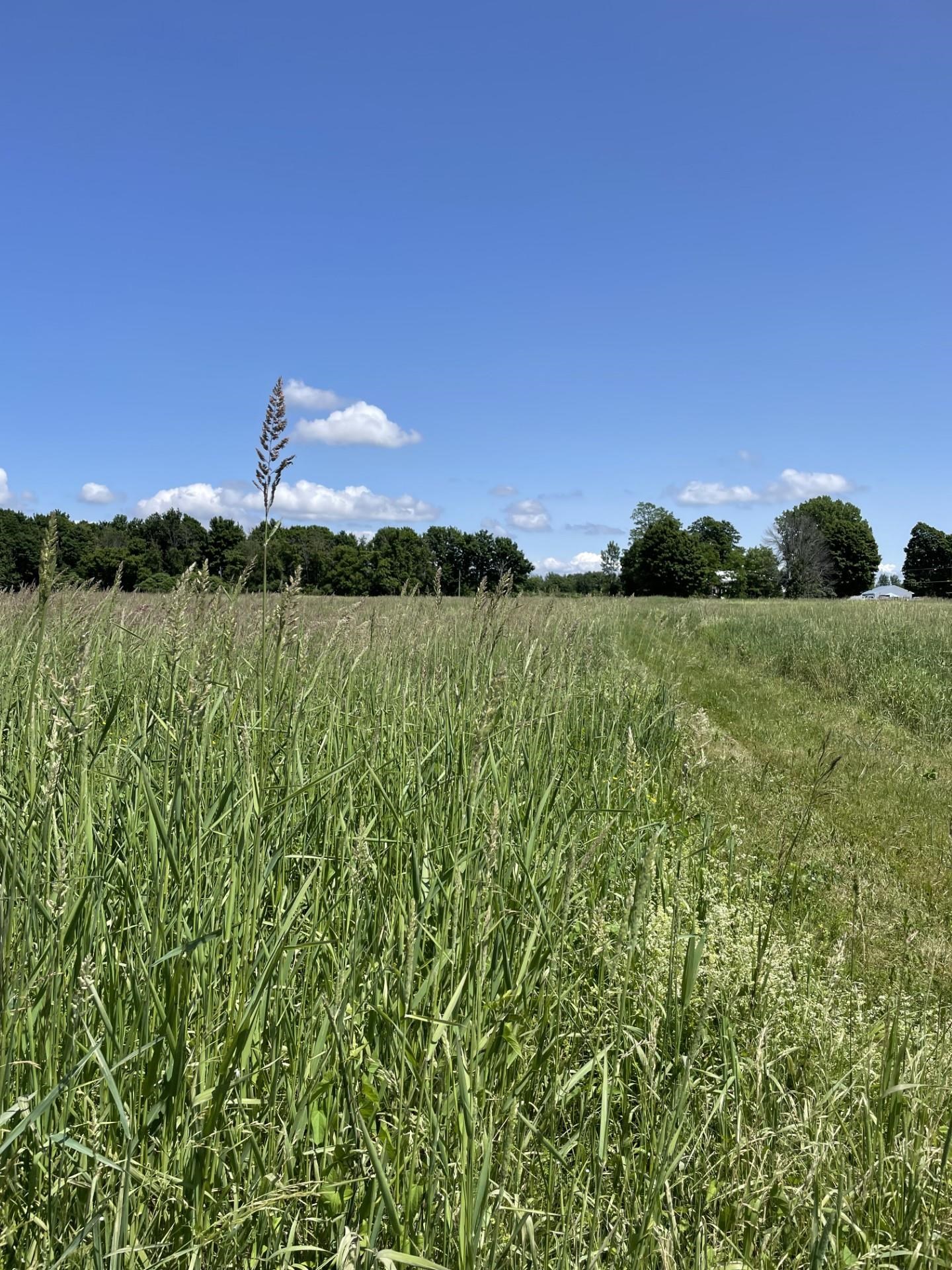 557 Bay Road Alburgh, VT 05440 - Photo 5 of 7