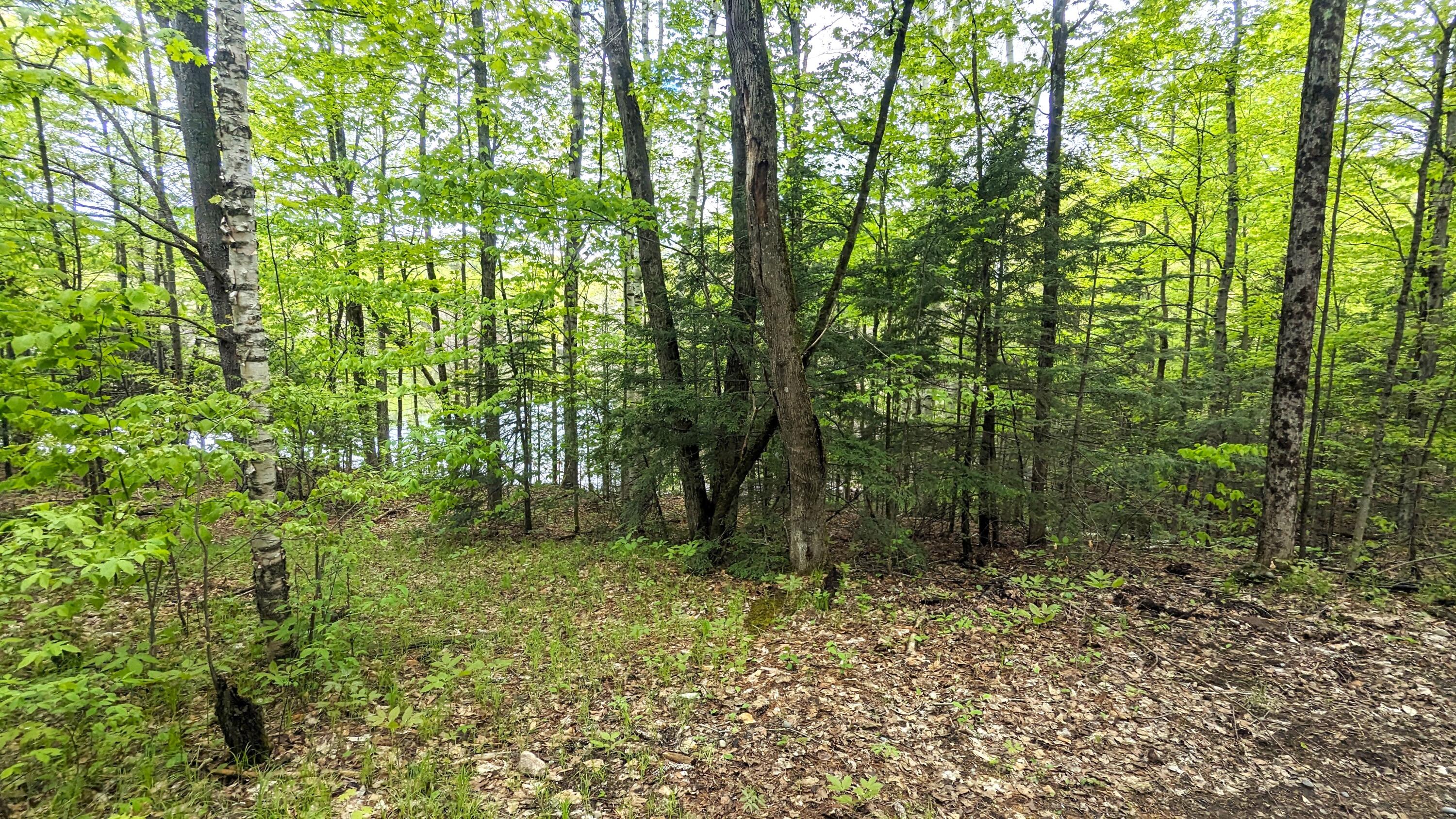 118 Sherman Lake Road Crown Point, NY 12928 - Photo 34 of 50 pWalk to Lake3