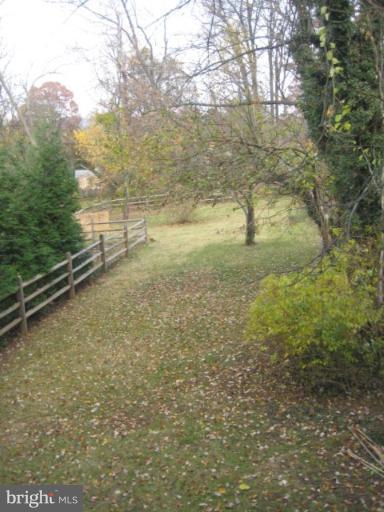 Back yard