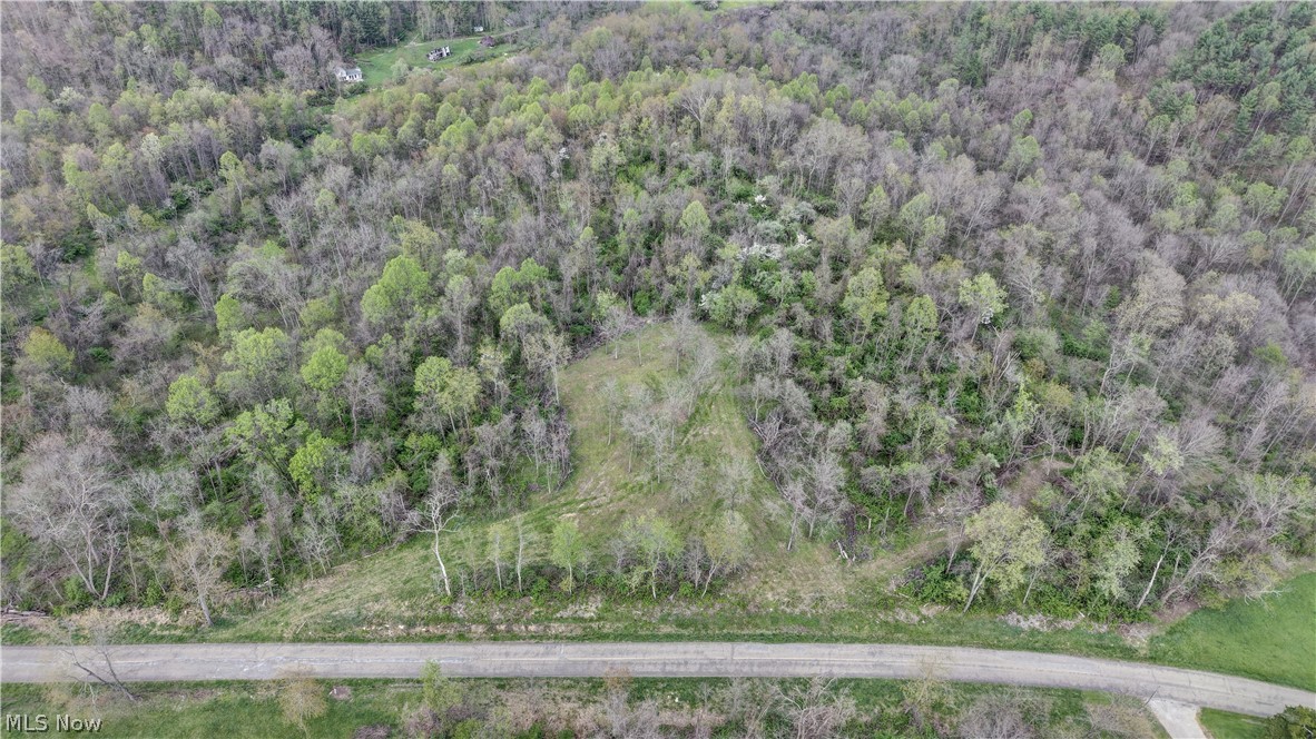 Deersville Ridge Road Cadiz, OH 43907 - Photo 3 of 41