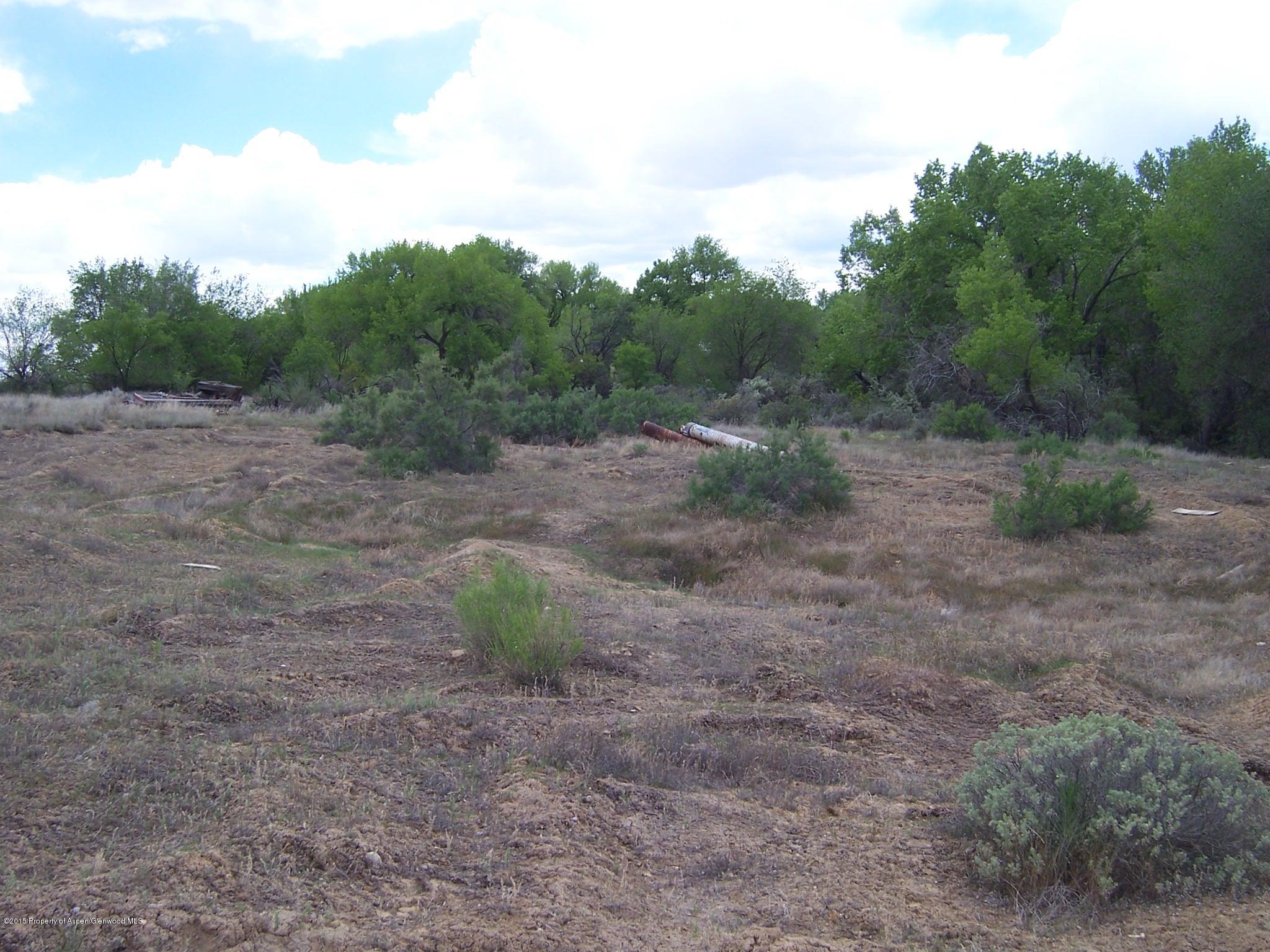 395 33 1/2 Road Grand Junction, CO 81501 - Photo 12 of 15 Land 1