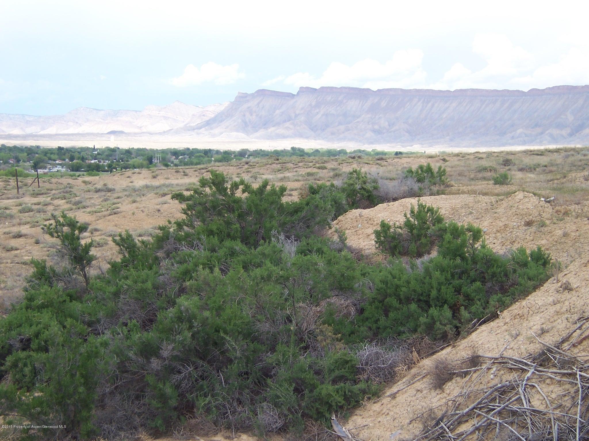 395 33 1/2 Road Grand Junction, CO 81501 - Photo 13 of 15 Land 2