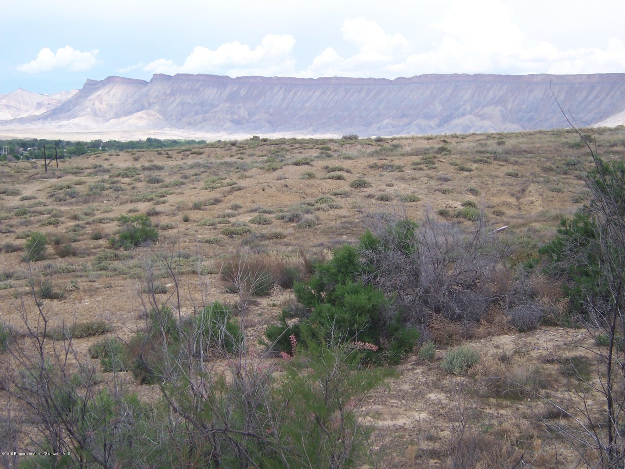395 33 1/2 Road Grand Junction, CO 81501 - Photo 14 of 15 Land 3