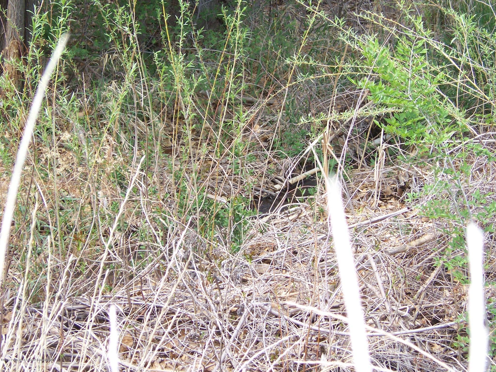 395 33 1/2 Road Grand Junction, CO 81501 - Photo 2 of 15 Irrigation 1