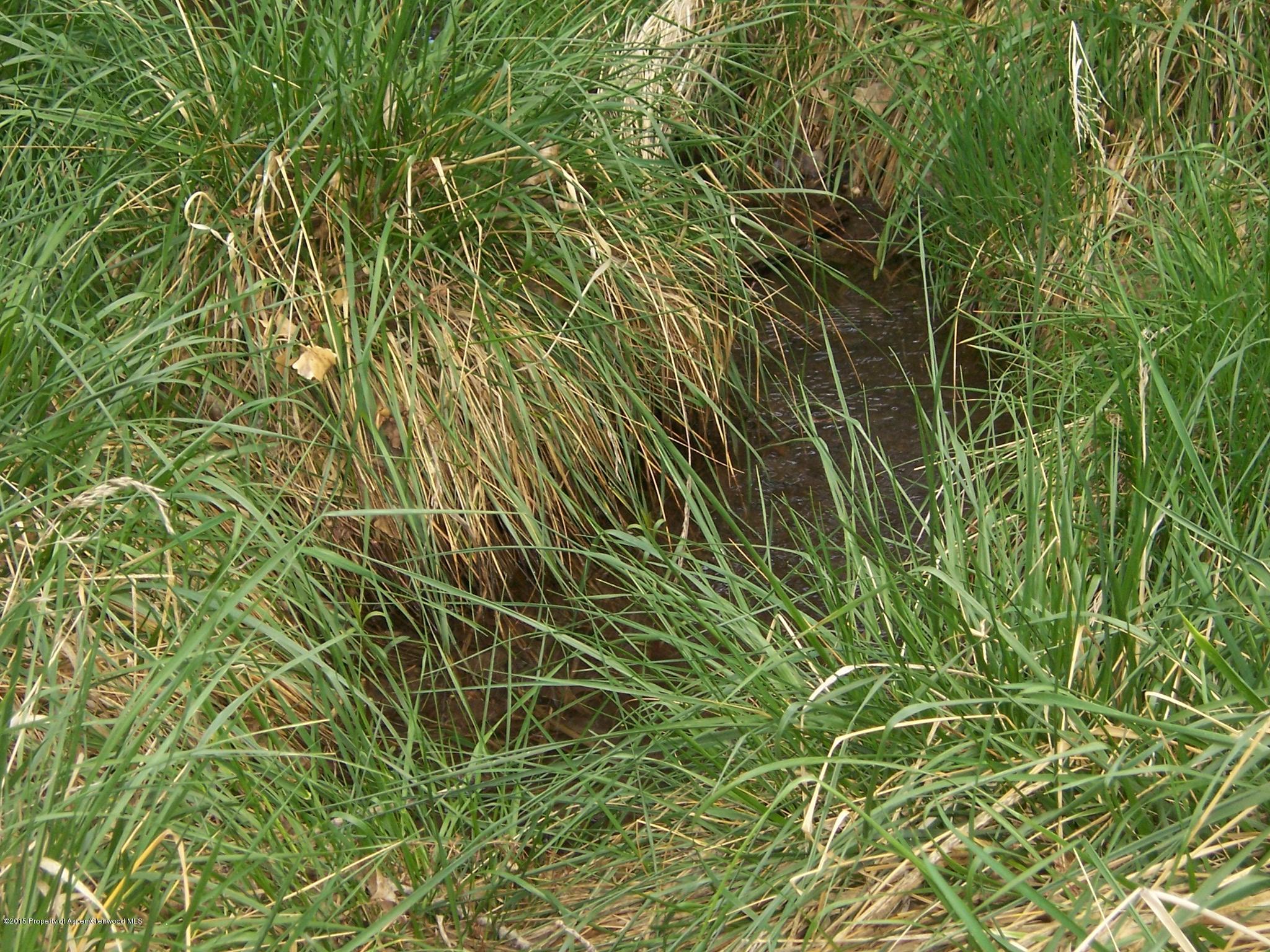 395 33 1/2 Road Grand Junction, CO 81501 - Photo 3 of 15 Irrigation 2