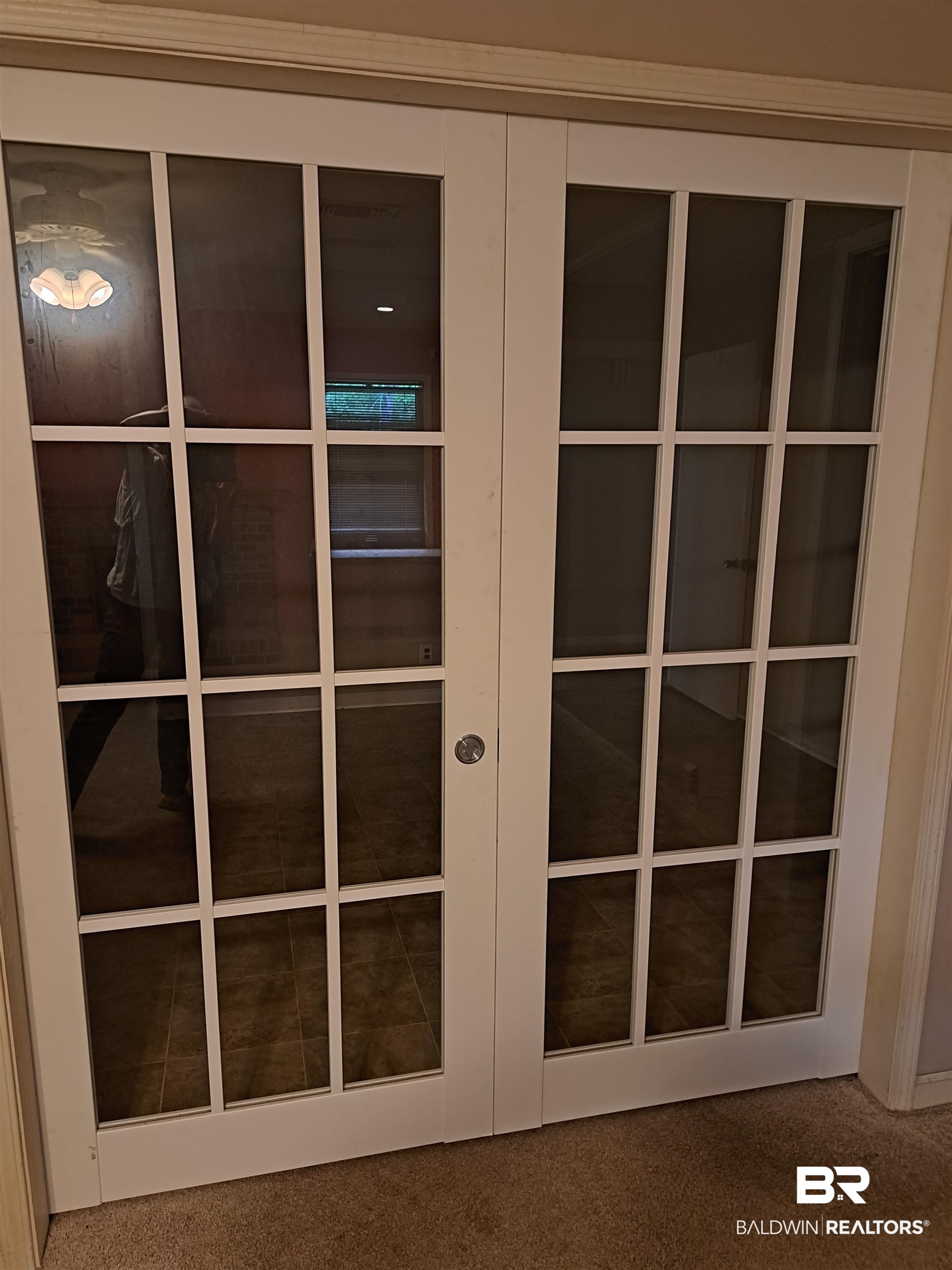 249 Newton Parkway Evergreen, AL 36401 - Photo 12 of 28 Detailed view of carpet floors
