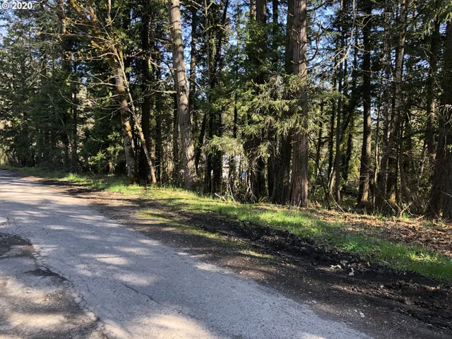 a view of a yard with large trees