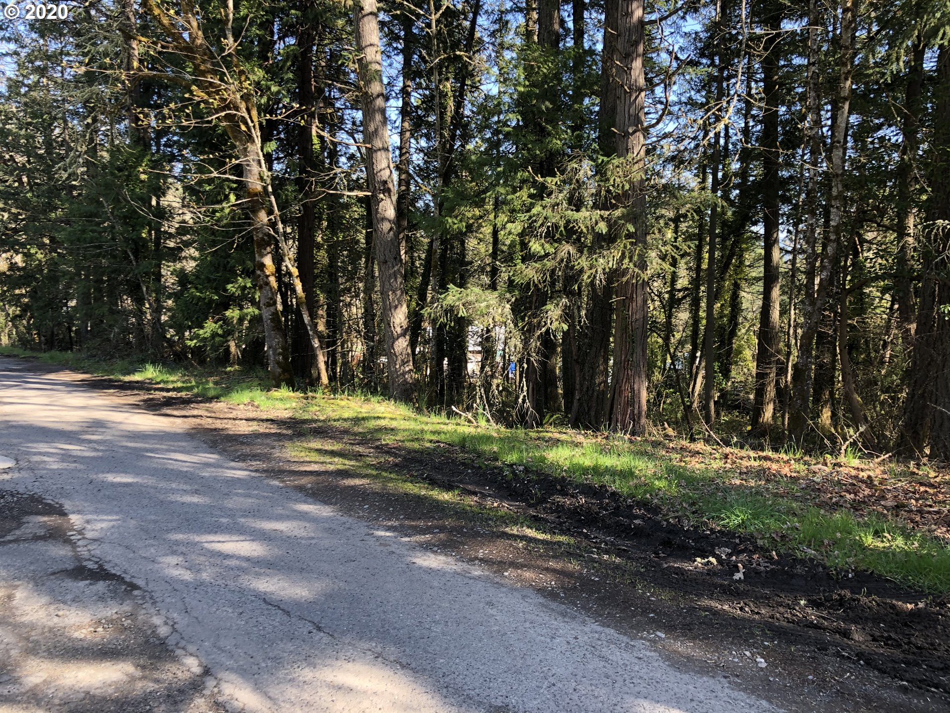 West Roberts Road, Unit 6800 Oakridge, OR 97463 - Photo 2 of 5 a view of a yard with large trees