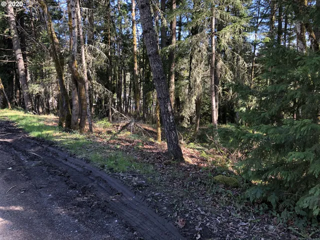 a view of outdoor space with trees