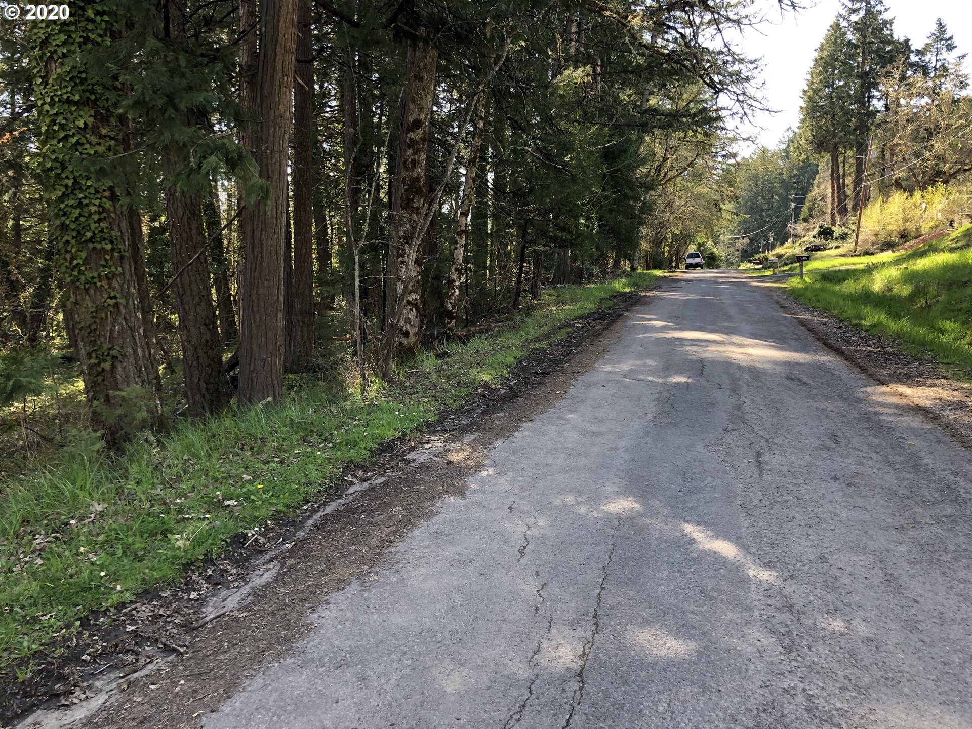 West Roberts Road, Unit 6800 Oakridge, OR 97463 - Photo 5 of 5 a view of a street with trees on both side of it