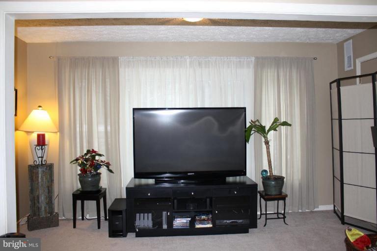 2222 Hunter's Run Drive, Unit 2222 Reston, VA 20191 - Photo 22 of 30 Other #3