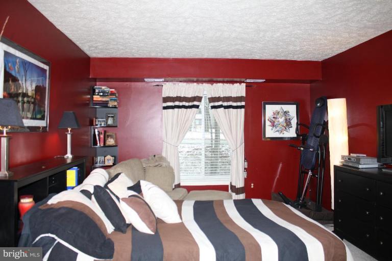2222 Hunter's Run Drive, Unit 2222 Reston, VA 20191 - Photo 10 of 30 Master Bedroom #2