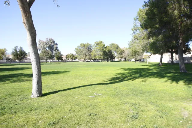 a view of a park with big trees